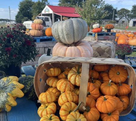 T.S. Smith Orchard