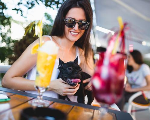 Pet Friendly Myrtle Beach Visit Myrtle Beach Sc
