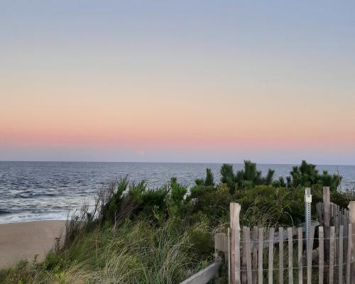 Cape Henlopen State Park
