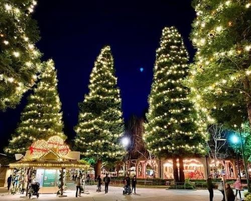 people milling about at Gilroy Gardens at night with trees covered in white lights and the lights of the carousel in the background