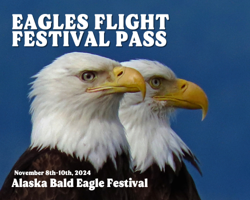 2024 Eagle Flight Festival Pass