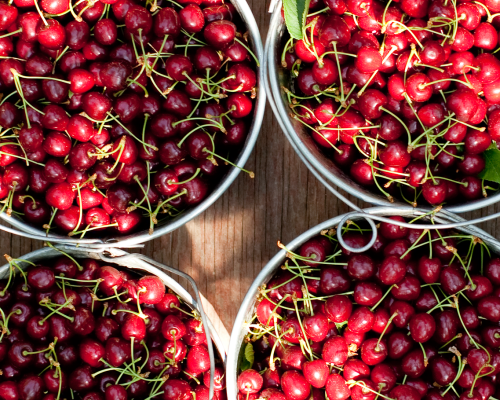 Cherry Pails