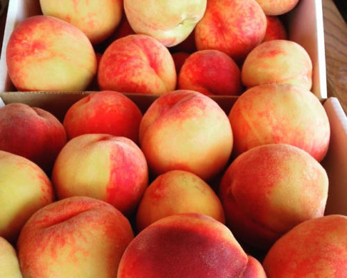 Okanagan Peaches