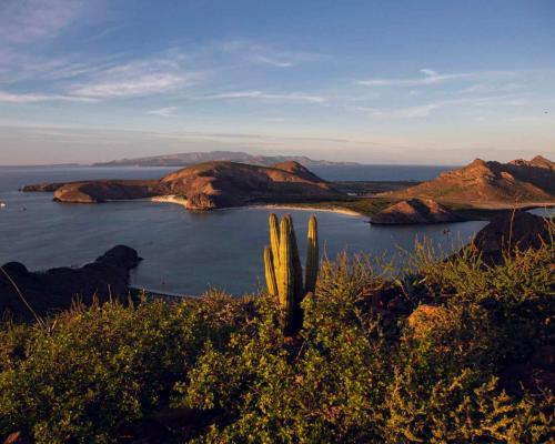 Playa Balandra Bahía