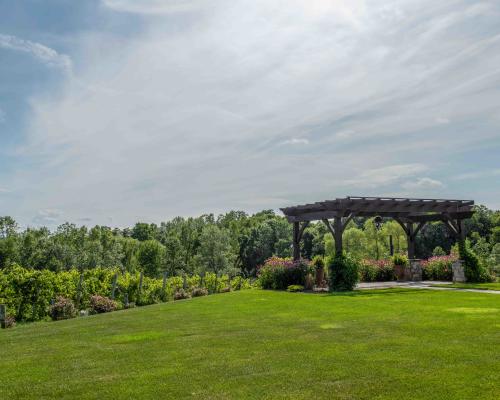 The wedding canopy overlooking the vineyard