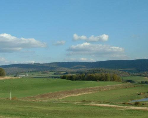 Donegal Pasture