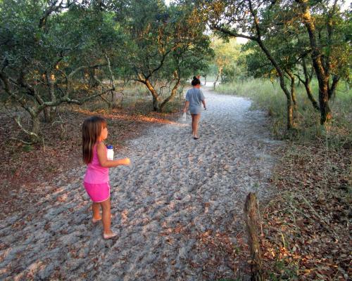 Sugar Loaf Trail Carolina Beach State Park