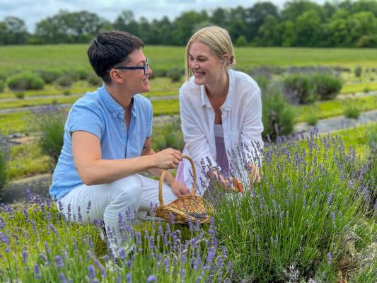 Sweethaven Lavender Farm