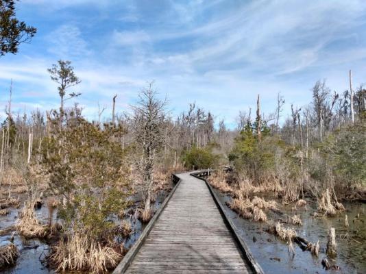 Goose Creek