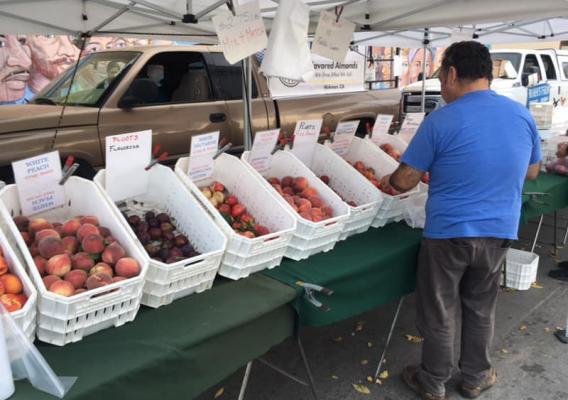 a man picking out fruit at the soledad farmers market