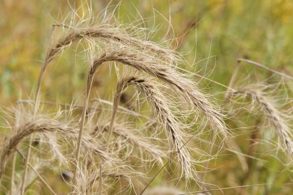 Nature Notes: Family Time