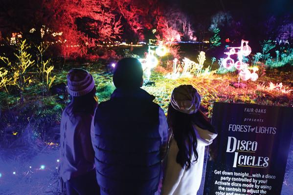 Fair Oaks Farms Forest of Lights