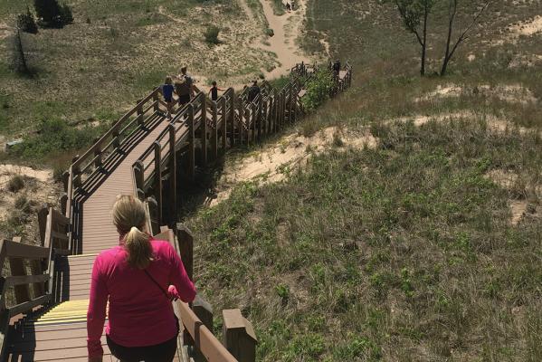 Hiking the Succession Trail at Indiana Dunes National Park