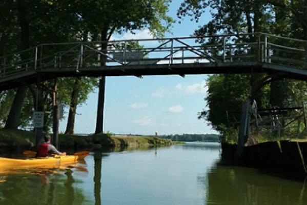 Kayaking On Cedar Lake