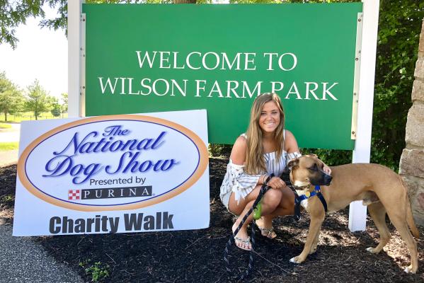 National Dog Show Charity Walk