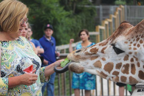 The Wine Safari at Elmwood Park Zoo includes a giraffe feeding experience.