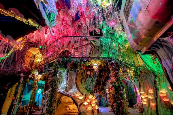 Meow Wolf House of Eternal Return