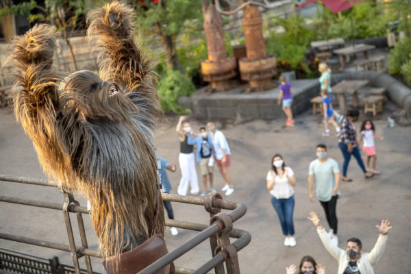 Chewbacca at Star Wars: Galaxy's Edge, Disneyland Resort