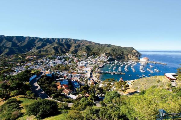 Catalina Island