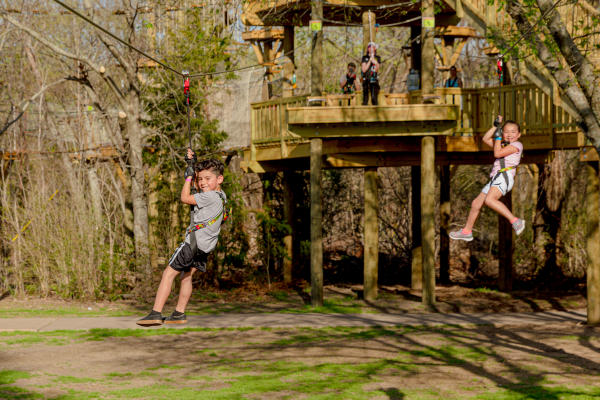 Children ziplining at Go Ape Arlington