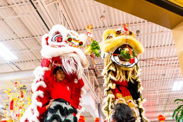 Lunar New Year Celebration Dragon Dancing