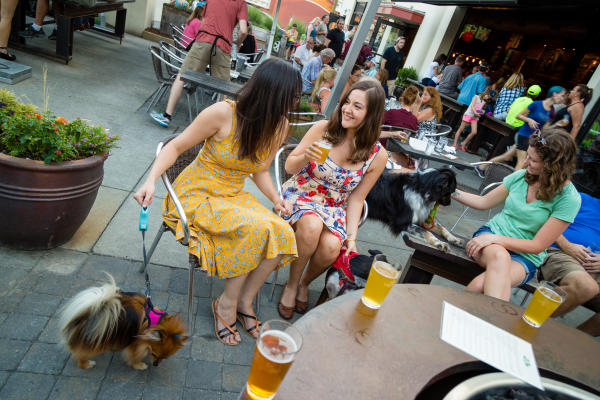 Friends & Dogs at Wicked Weed Patio