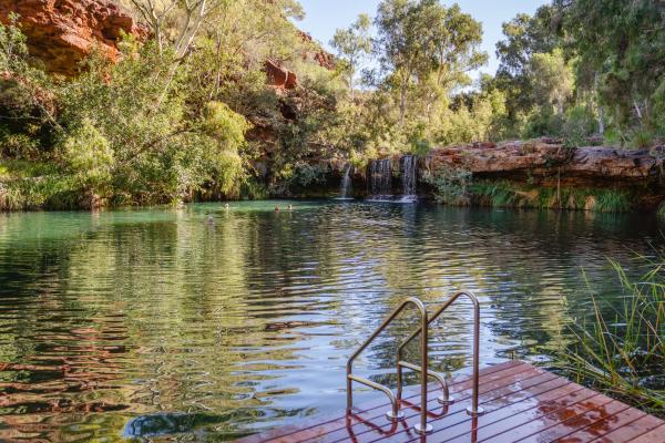 Fern Pool