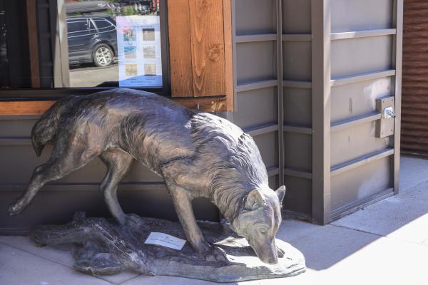 Art Galleries of Big Sky