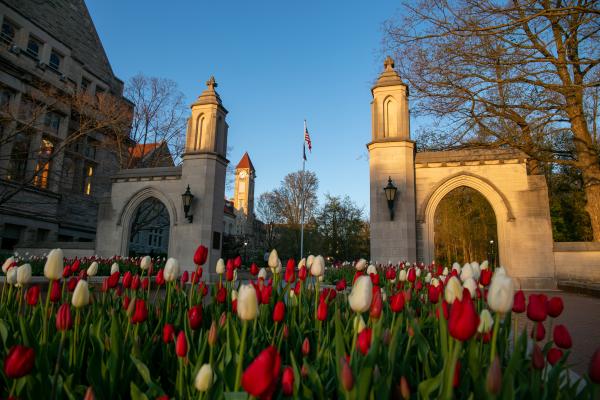 sample gates spring