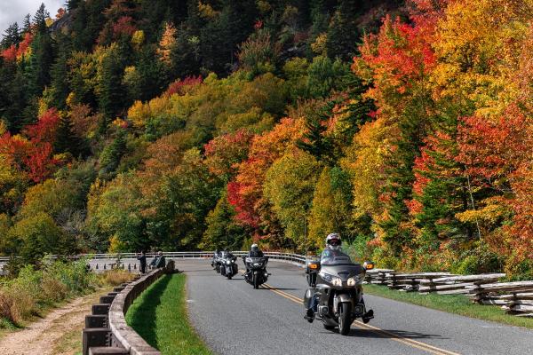 Three motorcyclists drive on the Blue Ridge Parkway with colorful leaves on the trees around them.