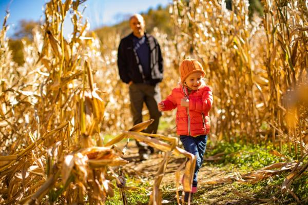 New River Corn Maze