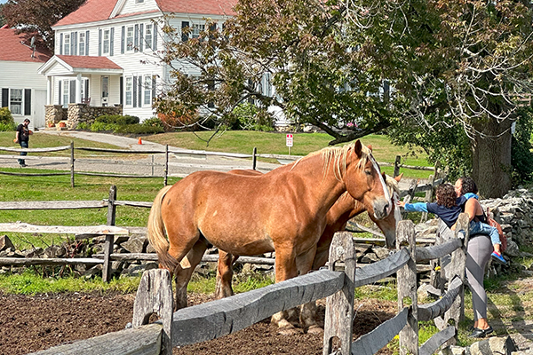 Stowe Farm