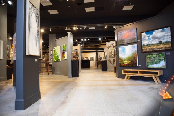 area 61 gallery