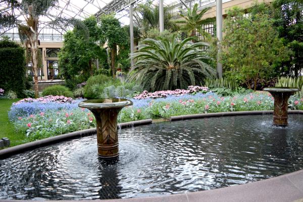 Longwood Spring Conservatory