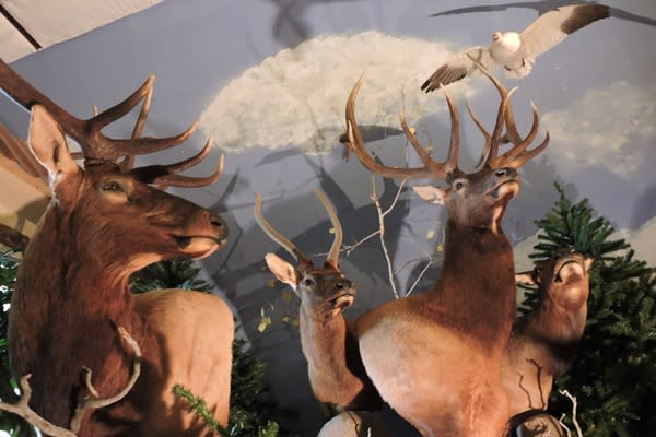 The Messengers Old West Museum, a top museum in Cheyenne, Wyoming featuring exhibits on the history of the Wild West.