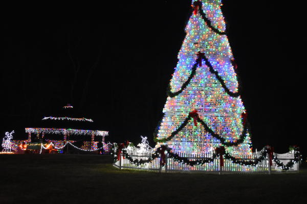 Christmas tree light display at the Charlestown Christmas City event