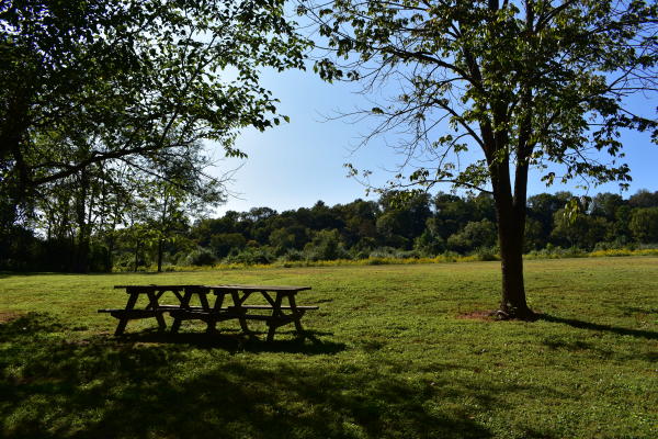 Wooden picnic table shaded by large trees overlooking an open grassy field bordered by woods on a sunny day at Charlestown State Park.