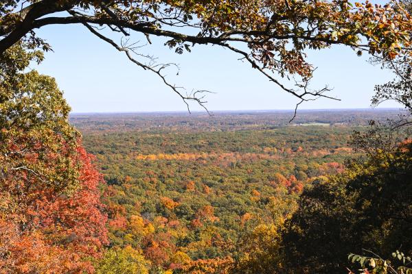 Clark State Forest