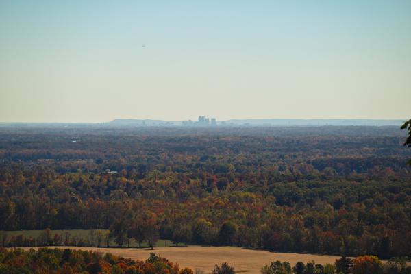Clarks State Forrest