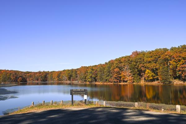 Clark State Forest