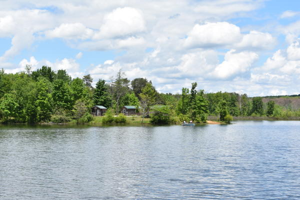 View of the lake with trees on the bank of Deam Lake during the summer