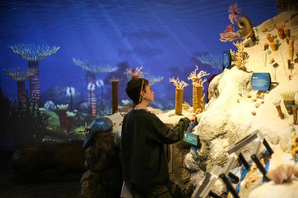 A boy with a pencil and paper looking at an ocean display at the Falls of the Ohio Interpretive Center