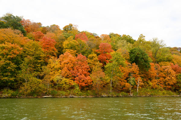 Vibrant orange, red, yellow and green fall foliage covers a wooded hillside along the Ohio River at Charlestown State Park.