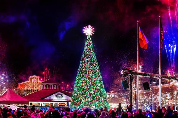 Easton Holiday Tree Lighting - 1x1