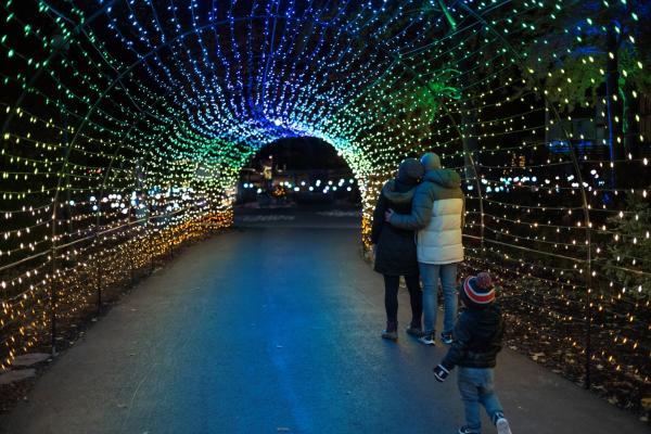 Couple hugging under a tunnel of lights at Conservatory Aglow at Franklin Park Conservatory and Botanical Gardens