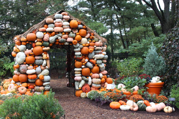 Pumpkin House at Harvest Blooms