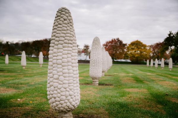 Field of Concrete Corn in Dublin, Ohio