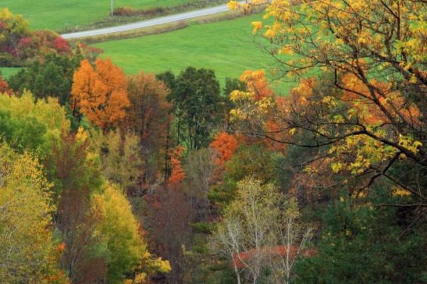 heron hill in autumn 1 by kathy wesserling fall