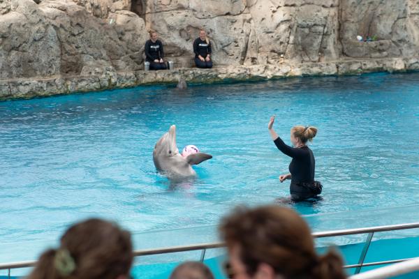 Texas State Aquarium