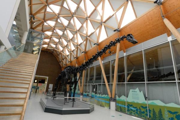 Dippy the Dinosaur